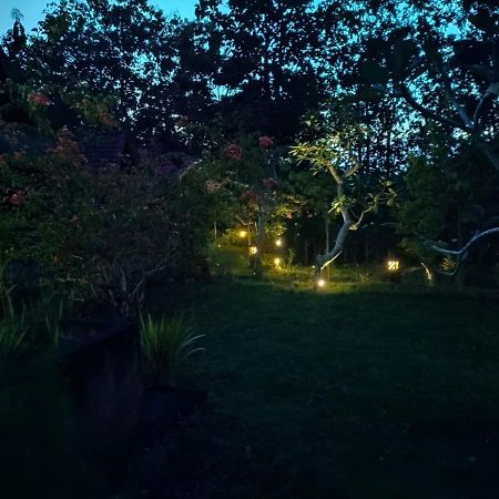 Bougainvillea Bungalow Batumadeg Eksteriør billede