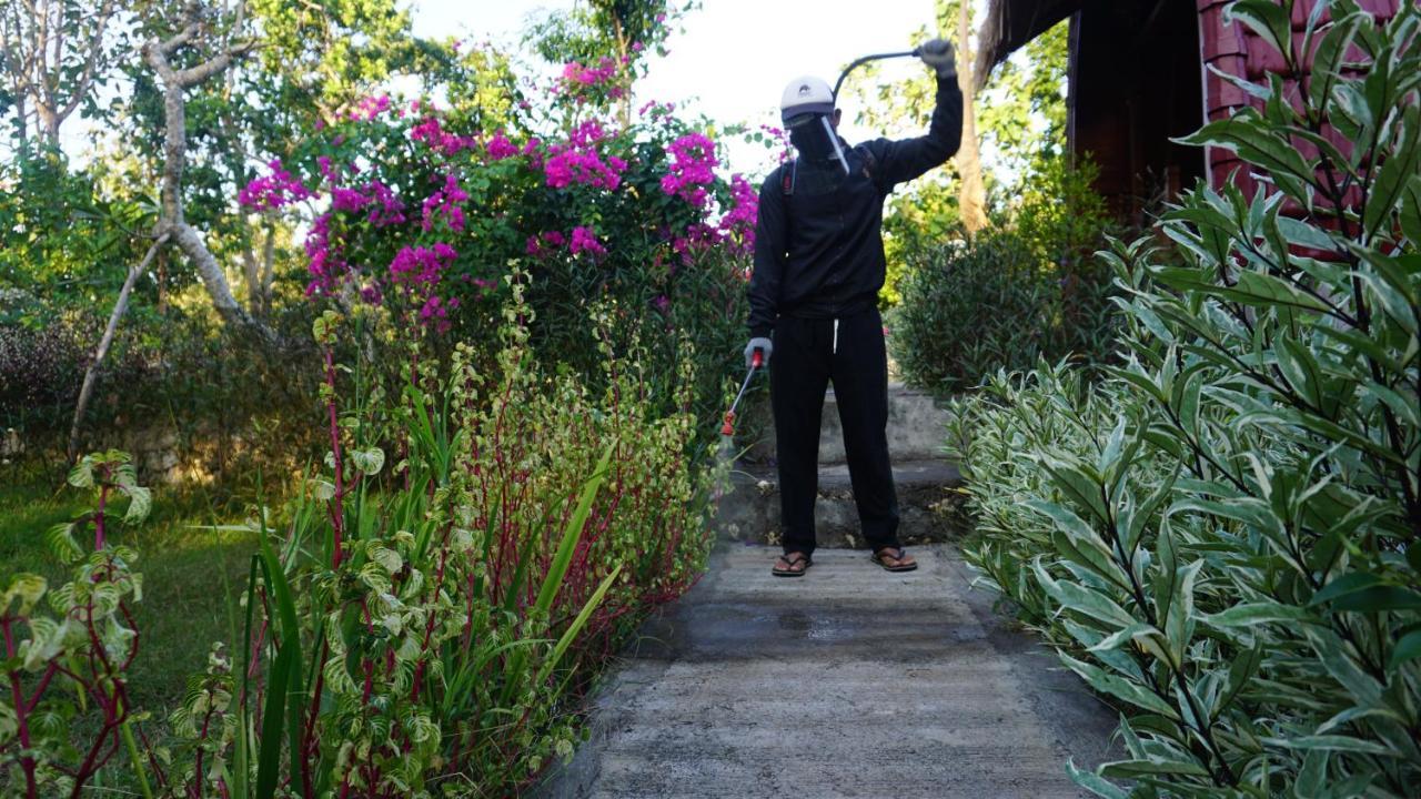 Bougainvillea Bungalow Batumadeg Eksteriør billede